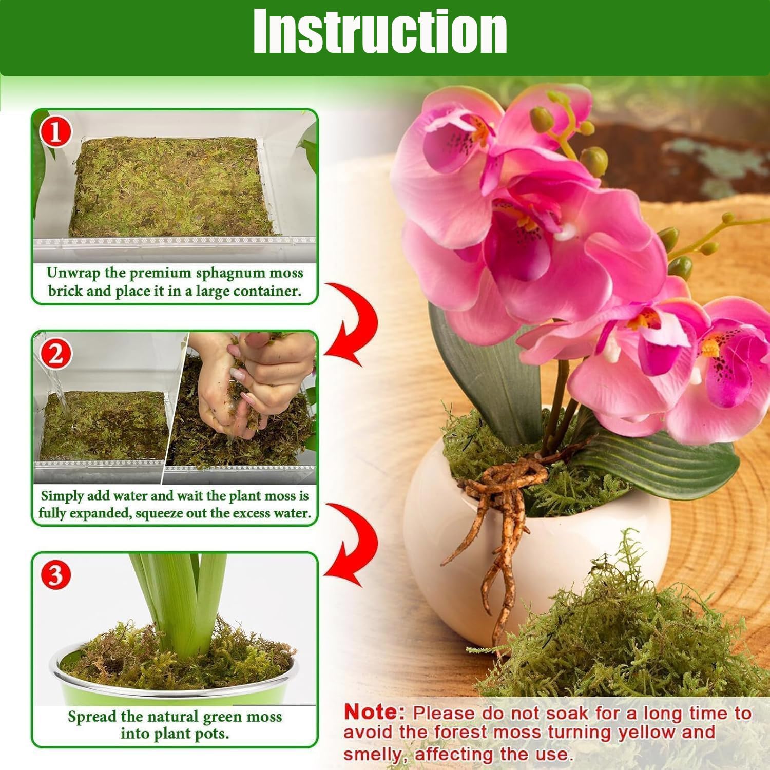 Sphagnum Moss for Plants 5L Terrarium Reptiles Moss Green Dried Peat Moss Habitat Bedding Moss Real Moss Soil Cover for Houseplant and Other Reptiles Substrate - Image 2