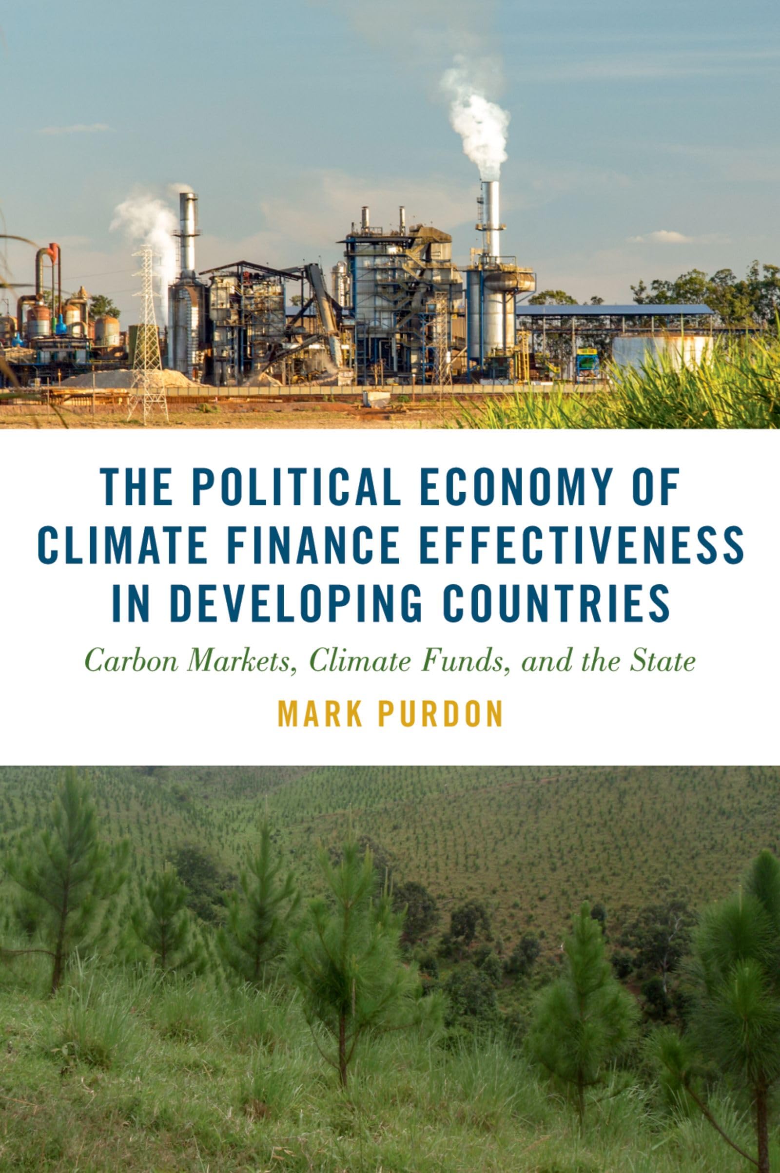 The Political Economy of Climate Finance Effectiveness in Developing Countries: Carbon Markets, Climate Funds, and the State (Studies in Comparative Energy and Environmental Politics)