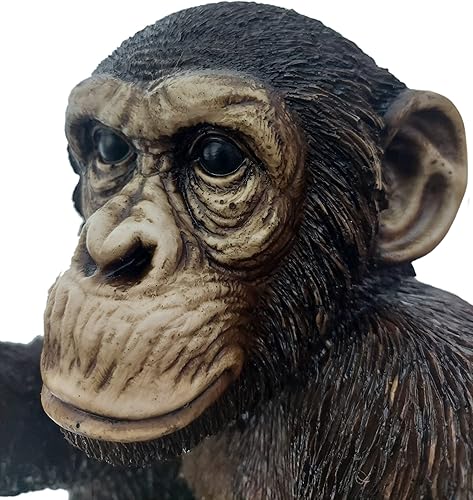 Miniatura 6 de DROPCUYUZbiz Figura de mono grande sentado escultura decorativa de calidad para oficina en casa