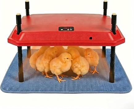 10"x10" Chick Brooder Heater Plate with Absorbent Pad - Safe Adjustable Poultry Coop Heater for 15 Chicks & Ducklings, Fire-Safe Heat Lamp Alternative for Baby Chickens