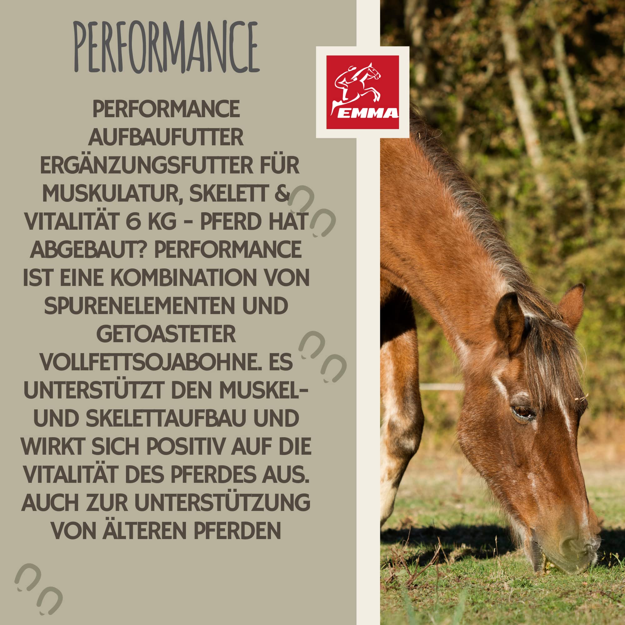 Pienso para Caballos + Amino Booster 6Kg 30ml Polvo para Aumentar la Musculatura de los Caballos + Grist de extracción de Soja I Vitamina E Selenio Biotina Zinc I Muscle Plus - Proteína Musculatura