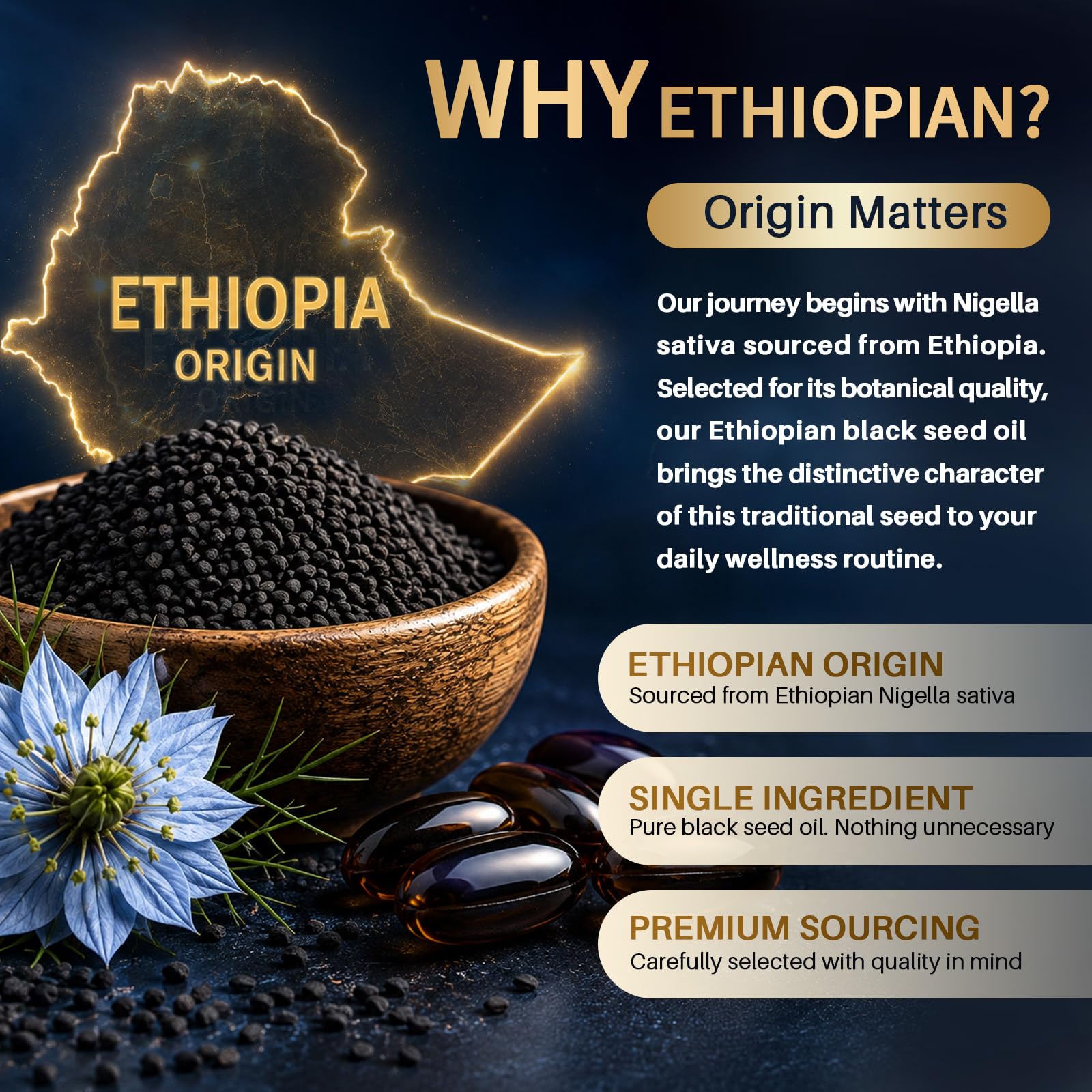 Totaria High TQ Ethiopian Black Seed Oil 1200mg | 120 Softgels Cold-Pressed Nigella Sativa Seed Oil — Amazon image 3