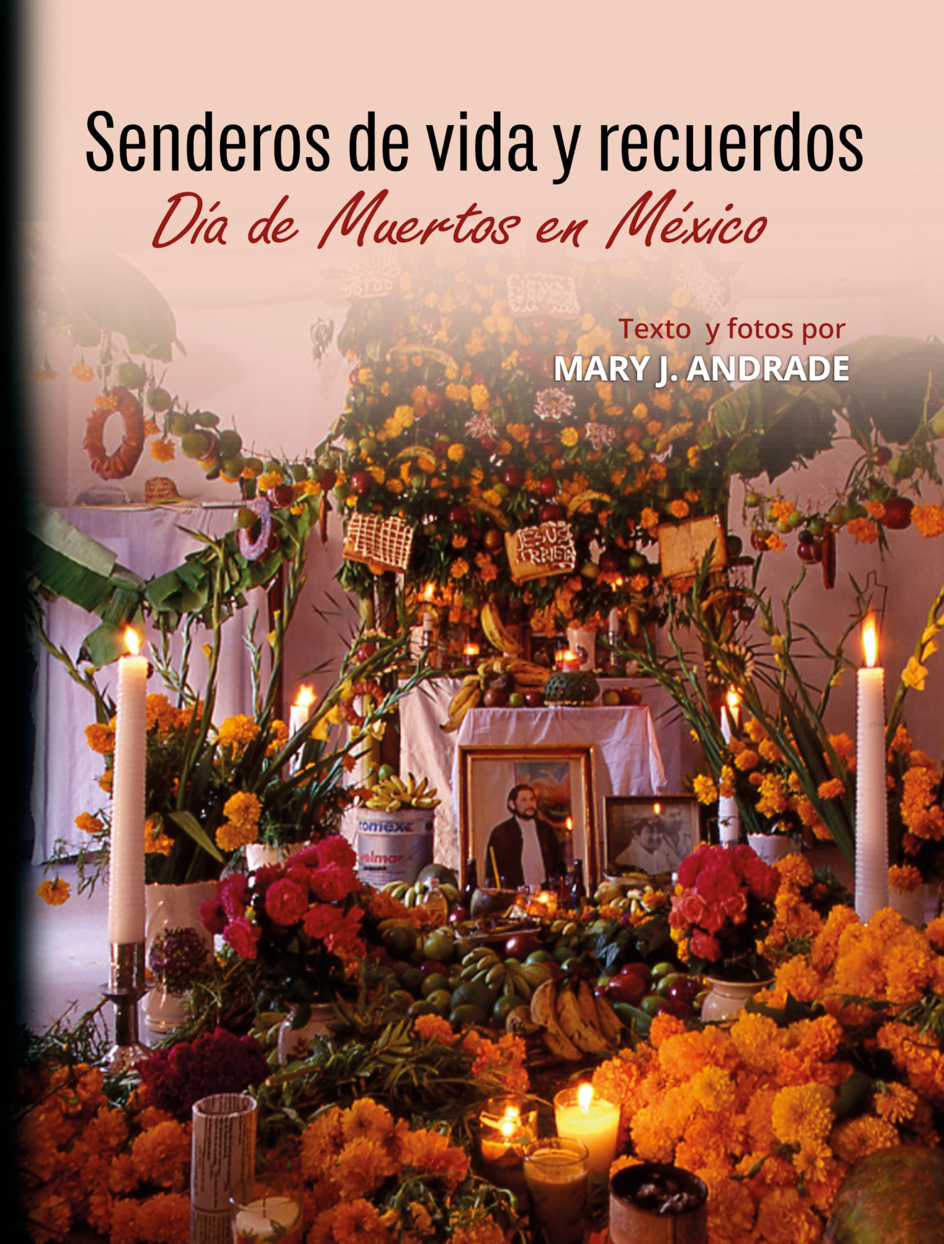 Día de Muertos en México le cadeau idéal en espagnol pour les passionnés