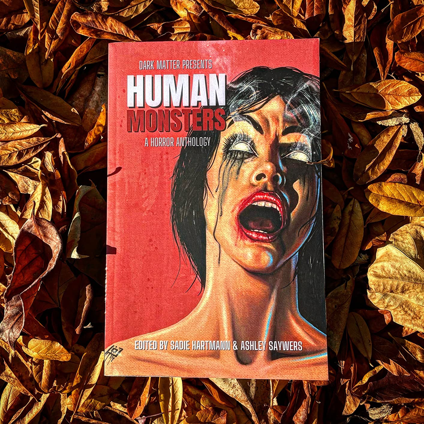 Human Monsters: A Horror Anthology (2) : Hartmann, Sadie, Saywers ...