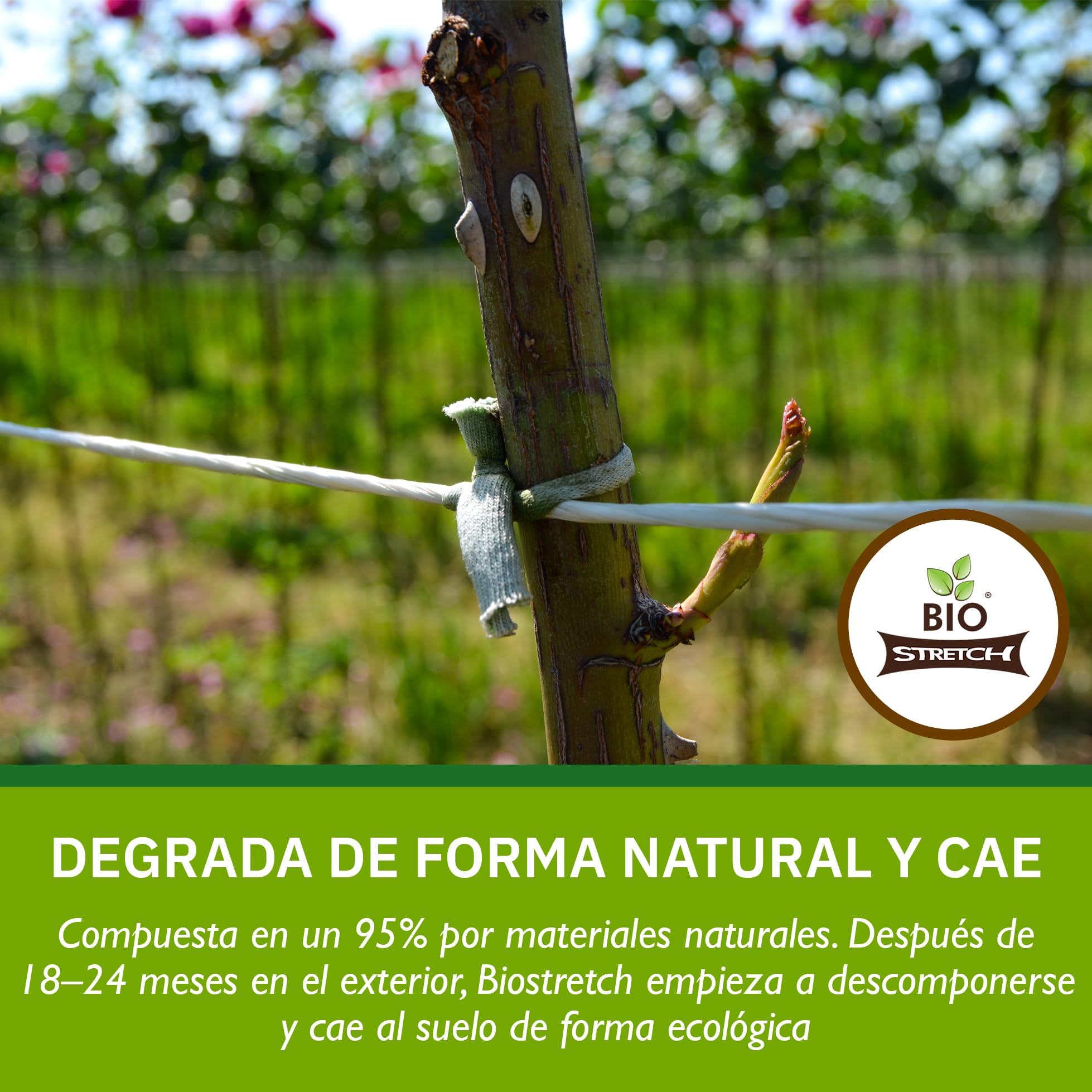 Bio-Stretch Cintas de Jardín Suaves para Plantas de Interior y Exterior – Resistentes y Elásticas, Cortables a Medida, para Plantas Trepadoras, Tomates y Jardinería en Casa (20m / Verde)