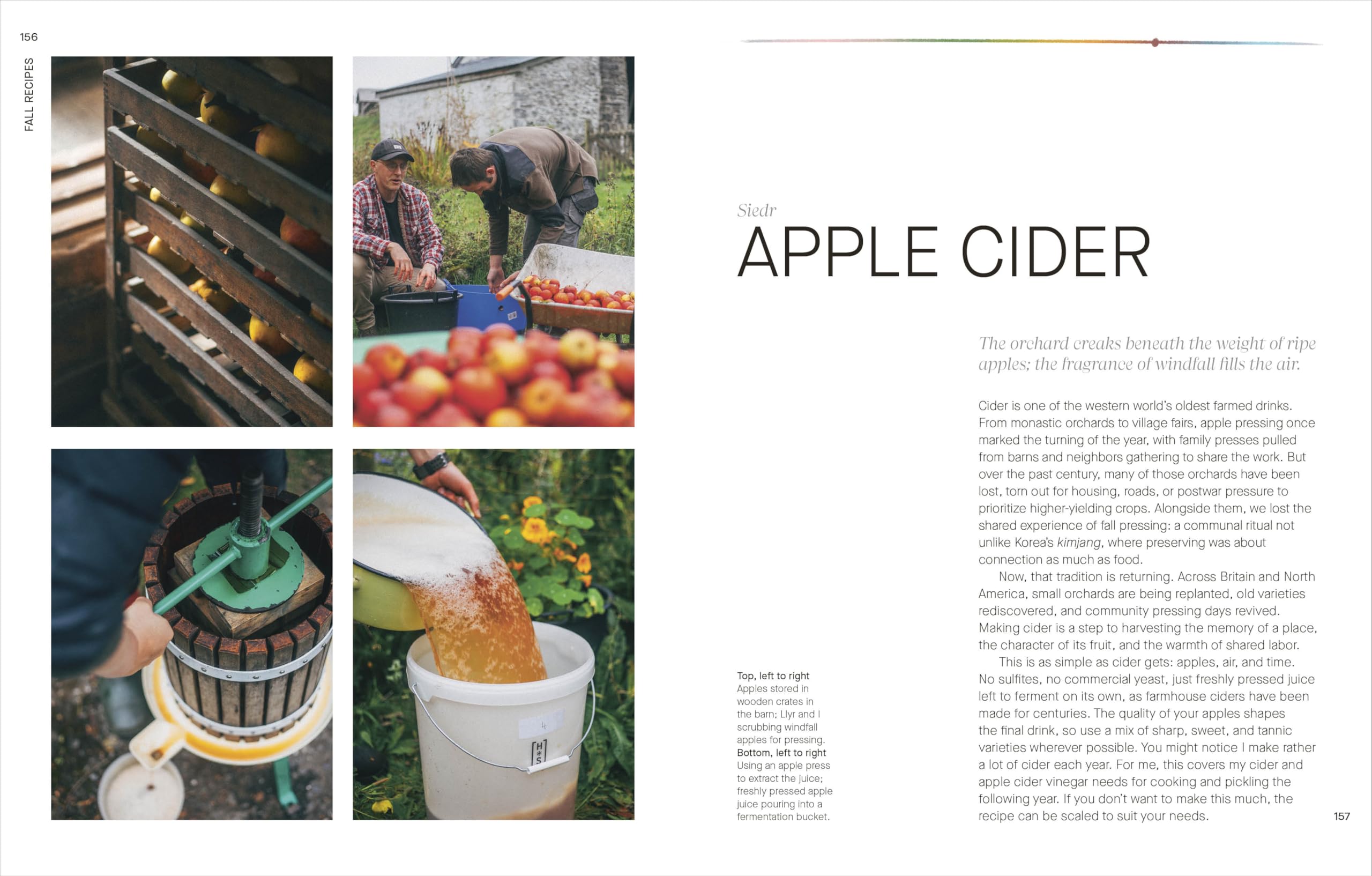 A Year of Fermentation: A Seasonal Guide to the Art & Science of Fermentation