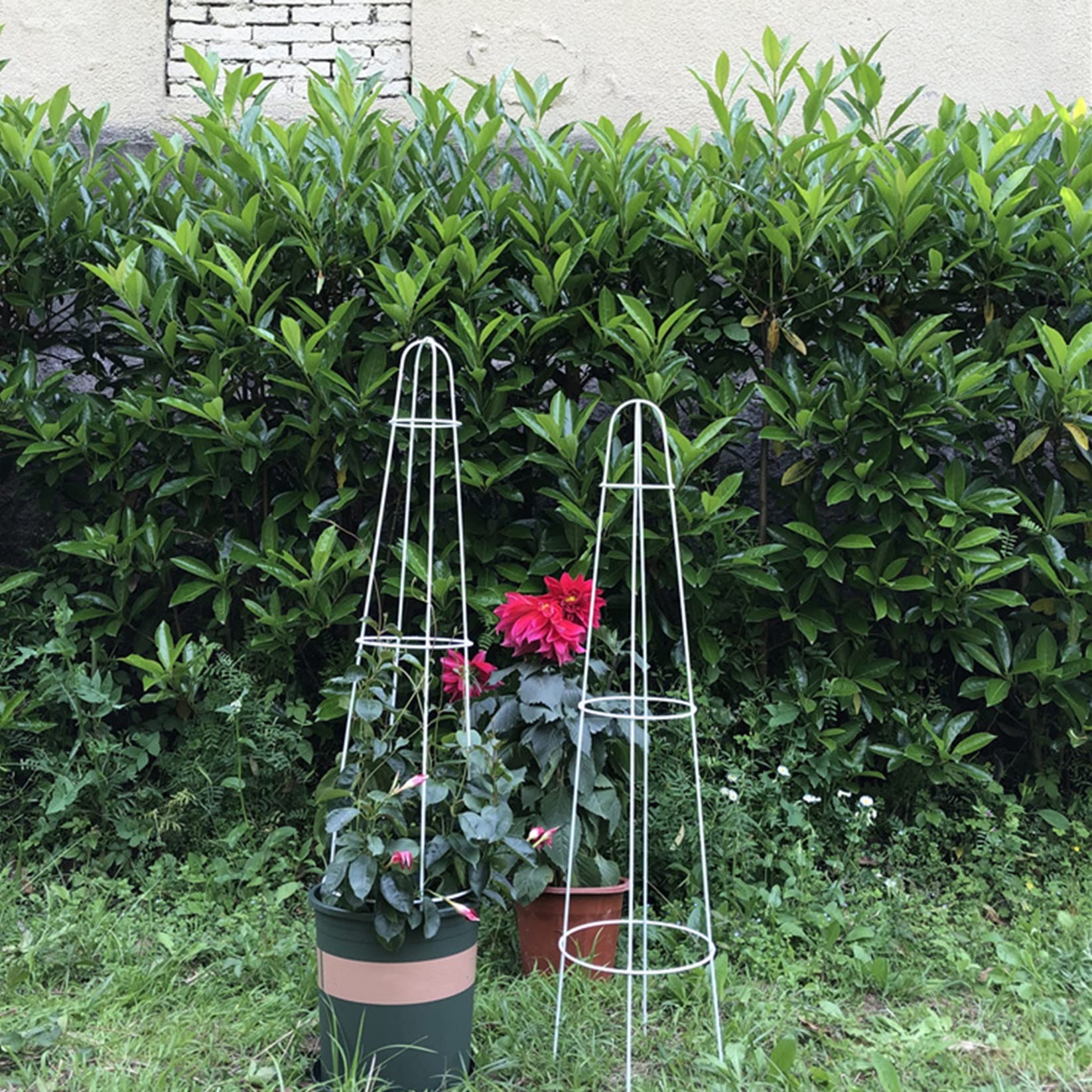 2 Pièces Obélisque Arceau Arche de Jardin,Tuteur Tomates Pieu Tuteurs Plantes Support tuteur métal Colonne rosiers aux intempéries pour Support de Fleurs,de Légumes,Plantes,Jardinage et verger