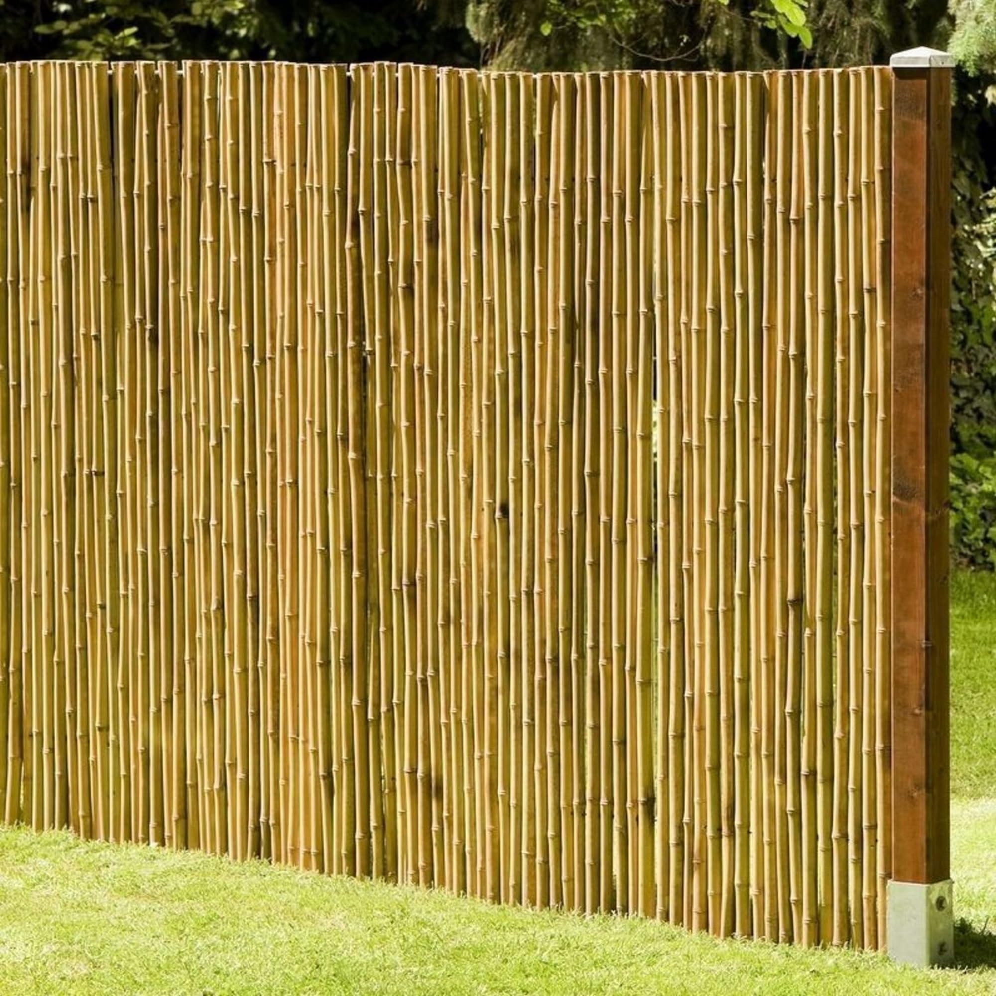 DE-COmmerce® Robusta recinzione in bambù per la privacy DELUXE, chiusa in alto, recinzione avvolgibile, recinzione per la privacy per giardino, terrazza, balcone (HxL) 200 x 180 cm