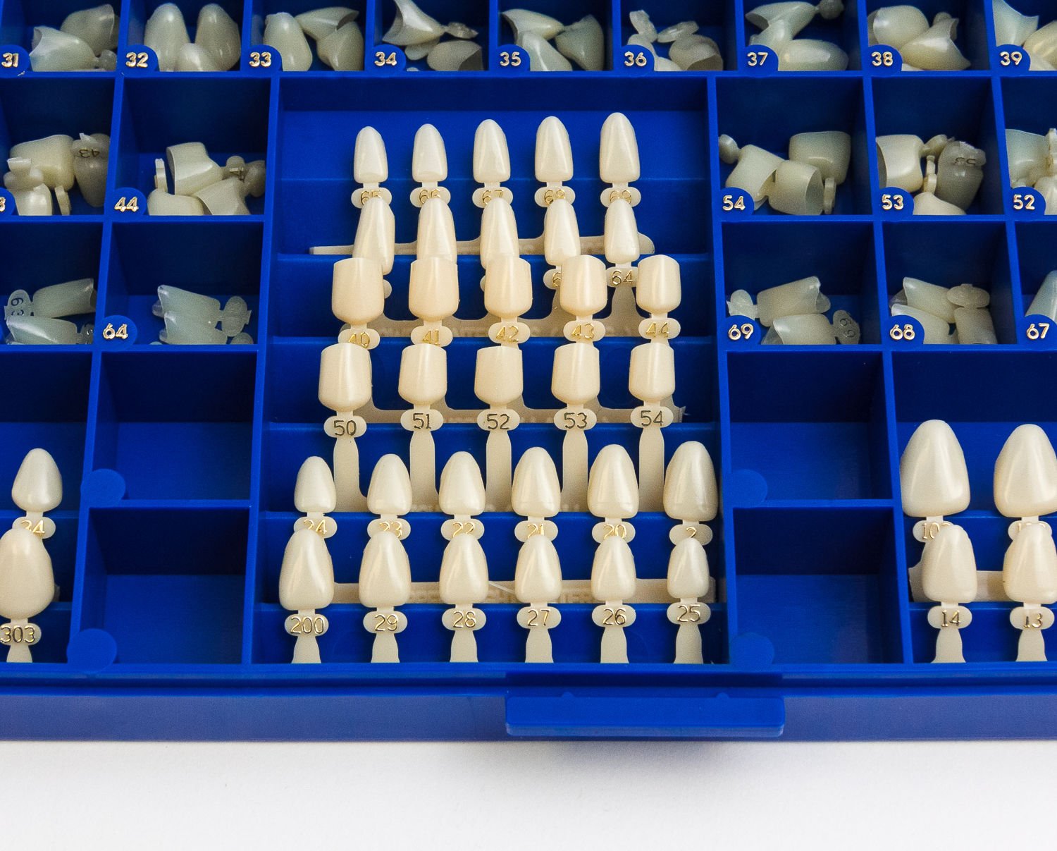 Corone In Policarbonato Per Odontologia