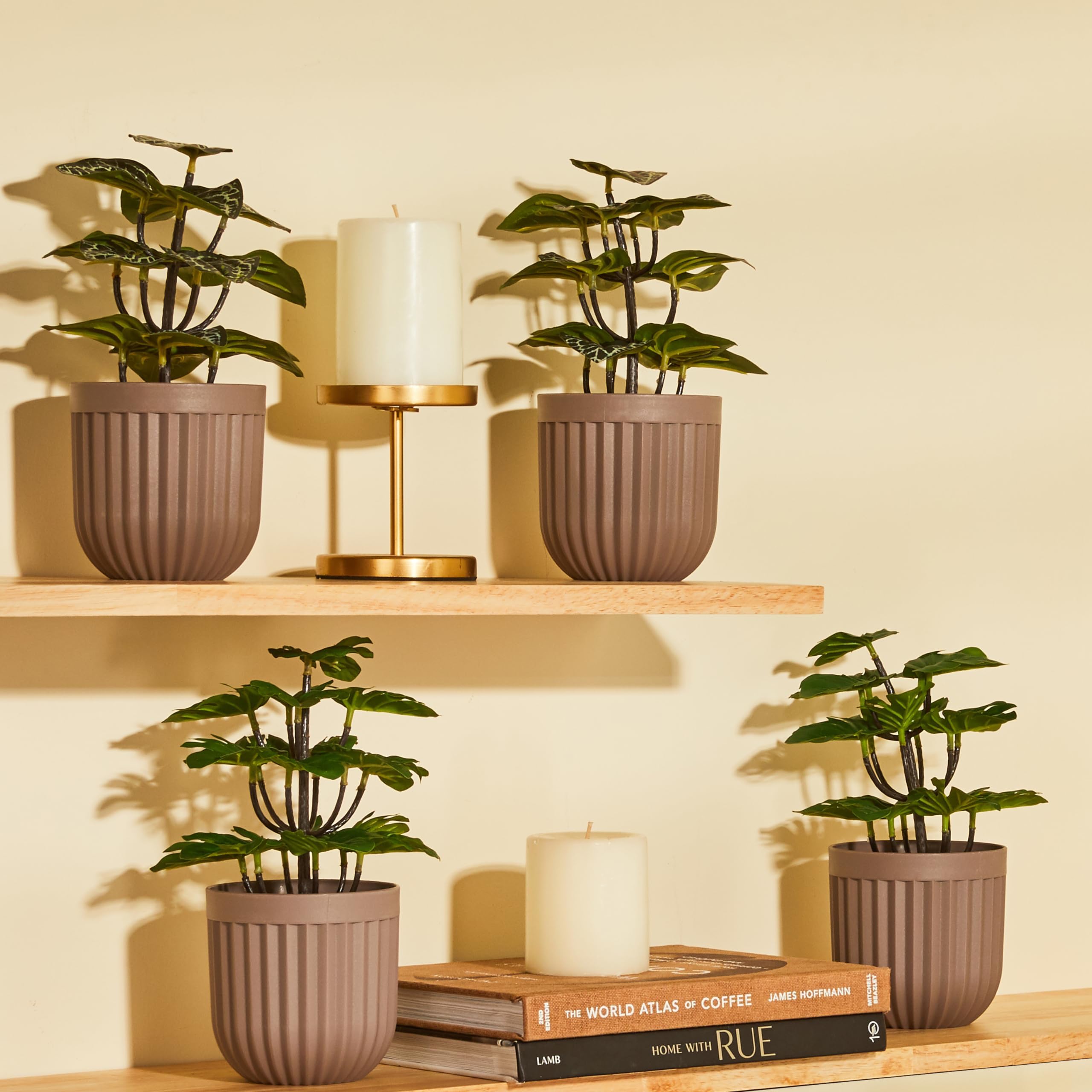 amazon basics Artificial Plants with Pot| Realistic Look | Durable Construction | Versatile Use | No Maintenance | Home Decor | Dimensions: 10 cm X 24 cm (Pack of 4) (B0D25C2QR2) Amazon Price History, Amazon Price Tracker