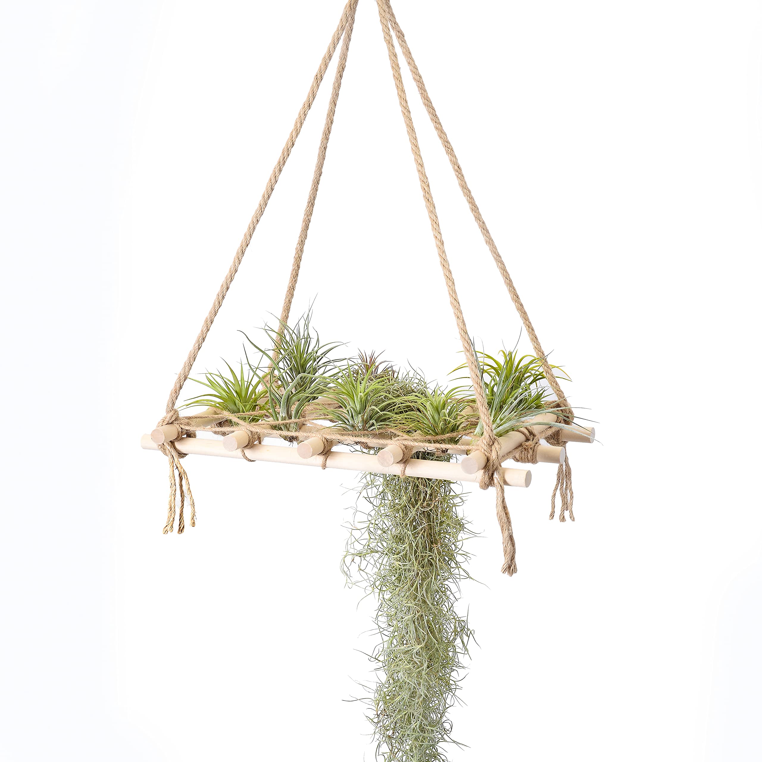 MITIME Air Plant Holder Wall Mount, Bohemian Style. Handmade Wooden Display Hanger, Wall Decoration for Indoor Plants. (Plants not Included) (16")