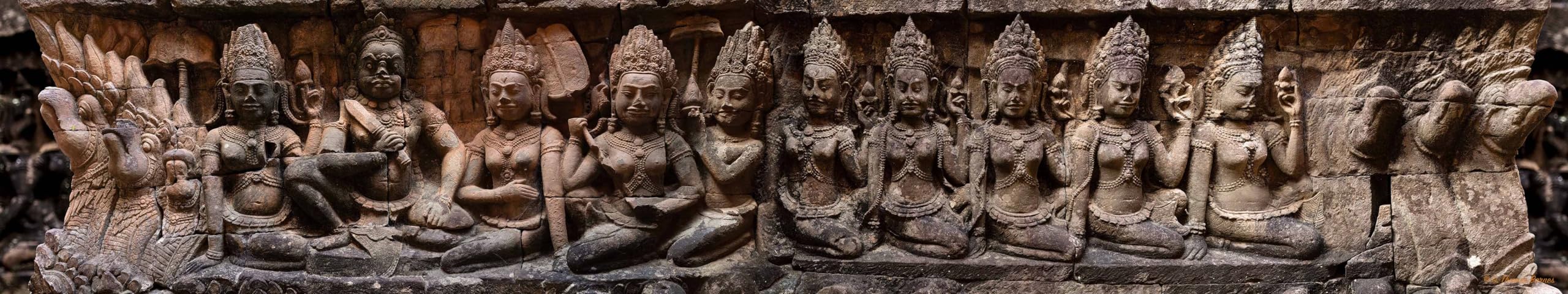 Reptile Habitat Background; Maidens of The Leper King for 20L Medium-Plus 30Lx12Wx12H Terrarium, 3-Sided Wraparound