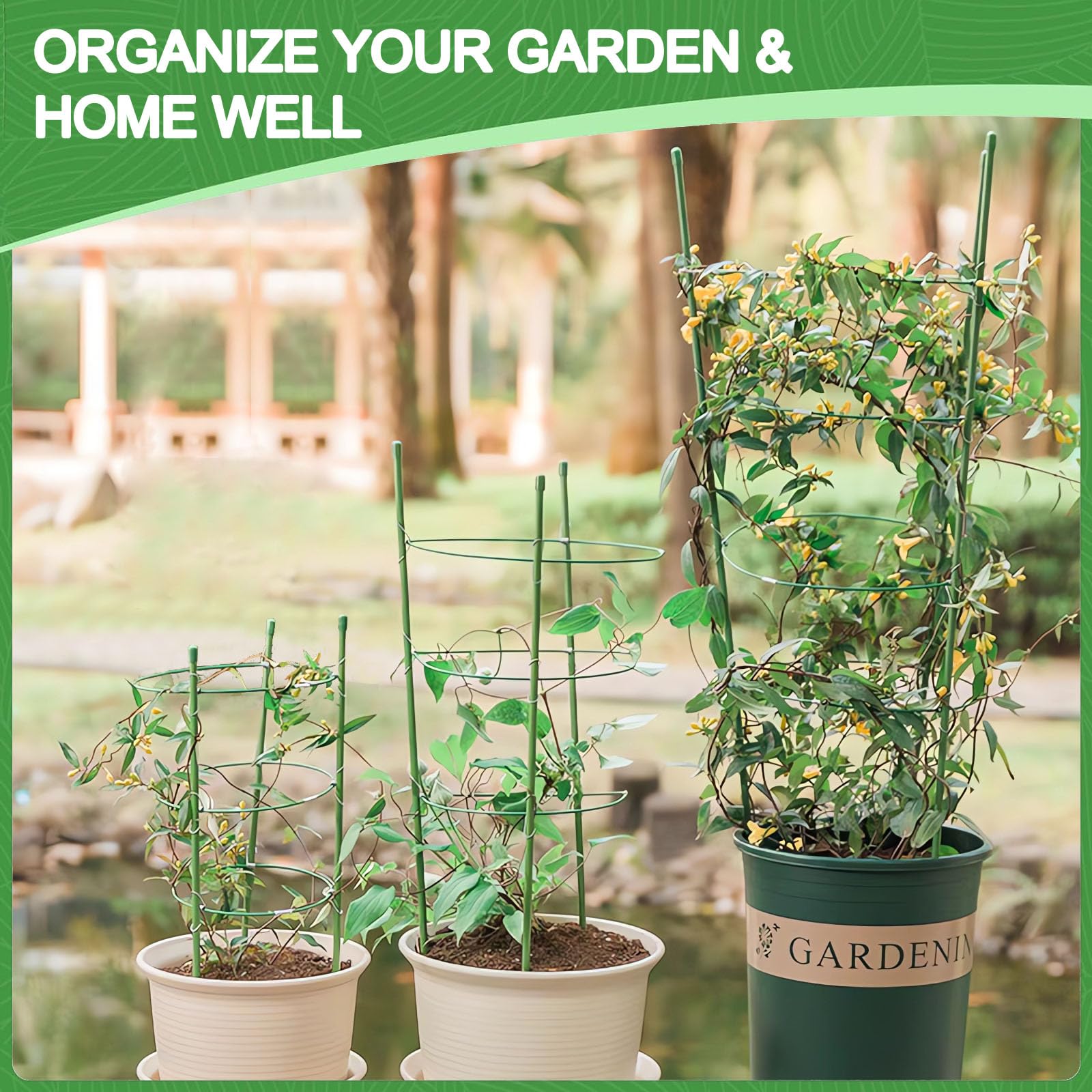 KLS Paquete de 3 jaulas de tomate para macetas, soporte para plantas de tomate, jaulas de tomates plegables de 36 pulgadas, enrejado de jardín para plantas trepadoras, kit de enrejado de tomate con
