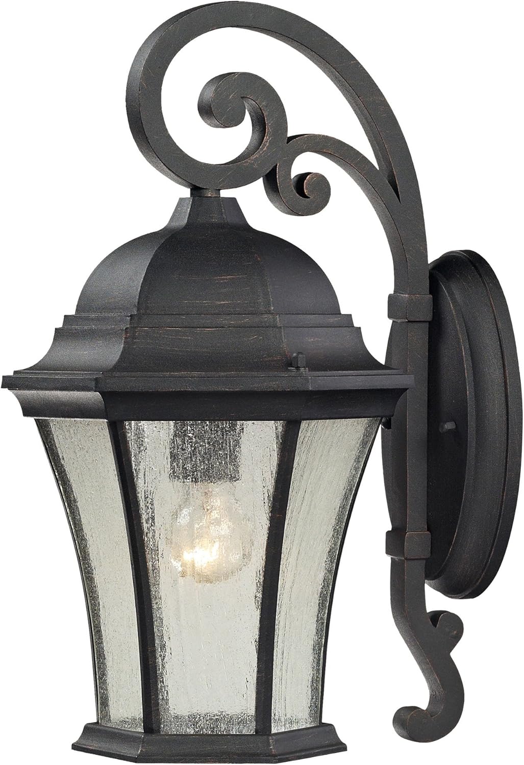 Elk 45051/1 9 by 17-Inch Wellington Park 1-Light Outdoor Wall Sconce with Seedy Glass Shade, Weathered Charcoal Finish