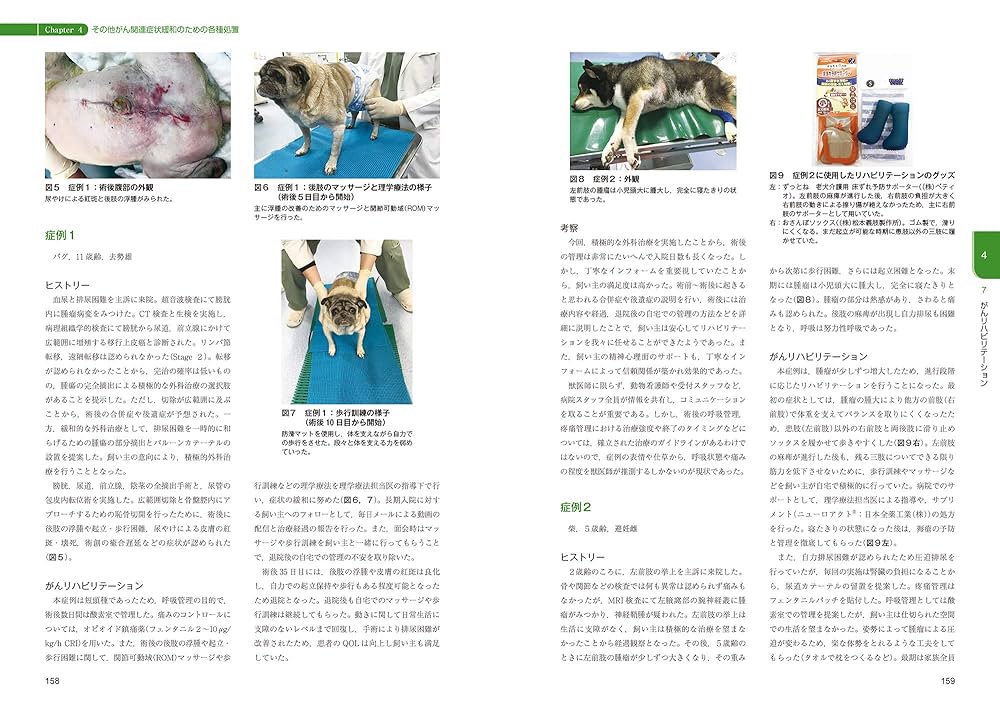 伴侶動物のがん緩和・支持療法とがん看護: 動物と家族のQOLを