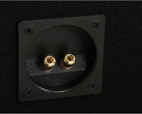 Miniatura 5 de BELVA Caja de subwoofer doble con puerto de coche de 10 pulgadas, MDF de 34 pulgadas, Polyfil preforrado incluye deflector azul personalizado