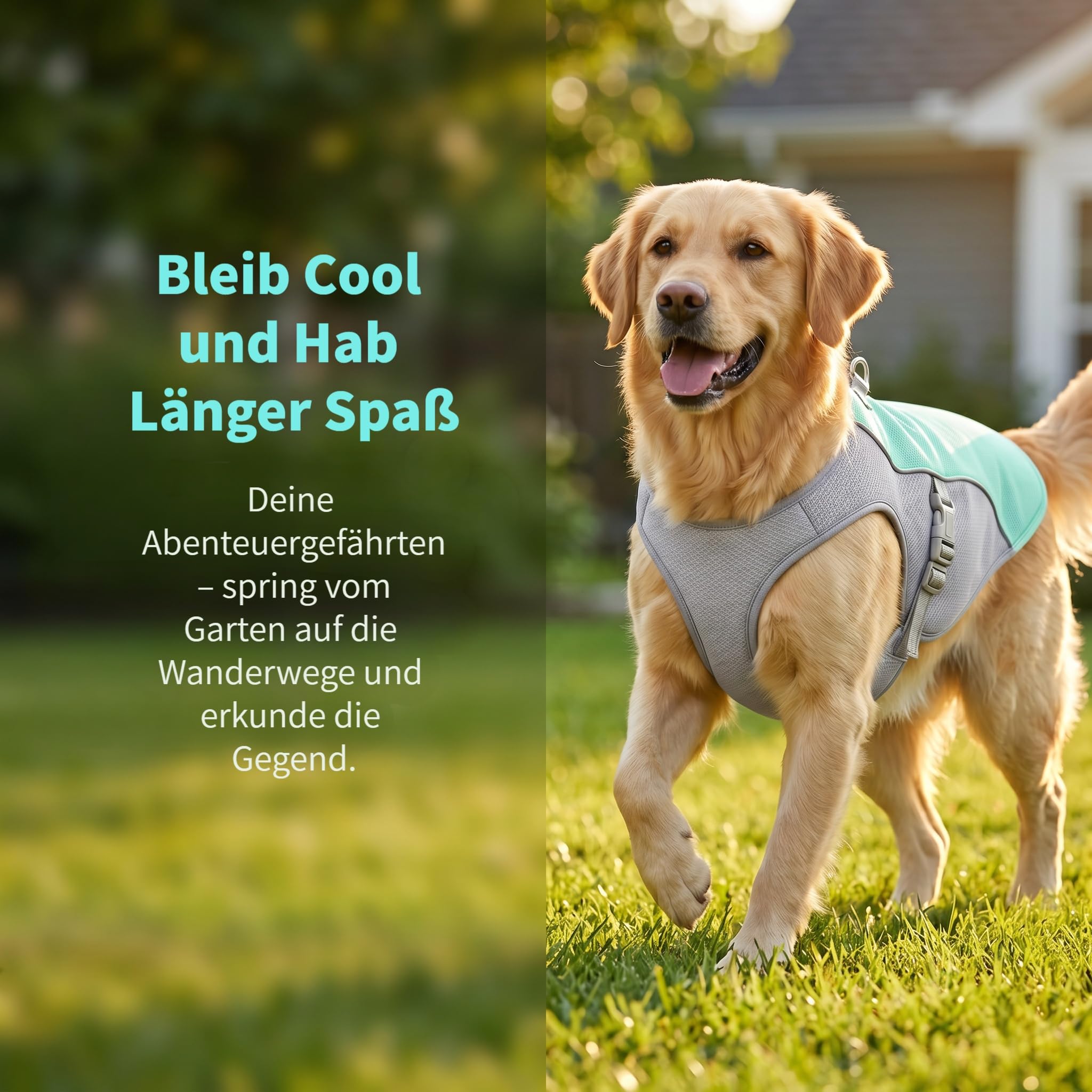 Hund Kühlweste, Kühlweste für Große Hunde, Sonnenschutz Hund Kühlmantel, Atmungsaktiv und UV-Schutz, mit Leinenring, für Outdoor Aktivitäte, Blau (2XL)