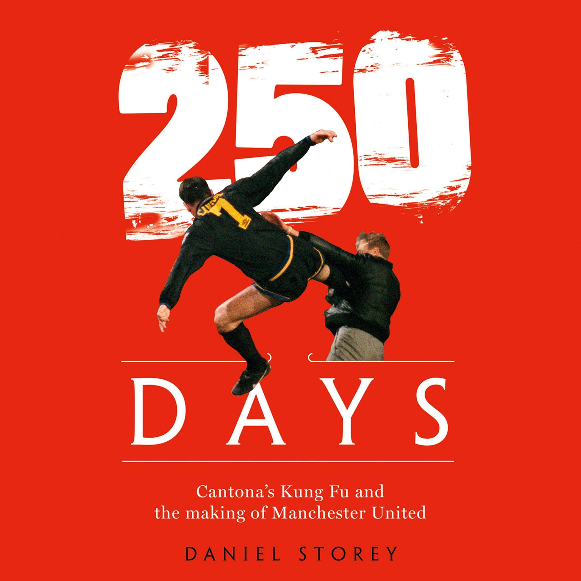 Cover art for 250 Days