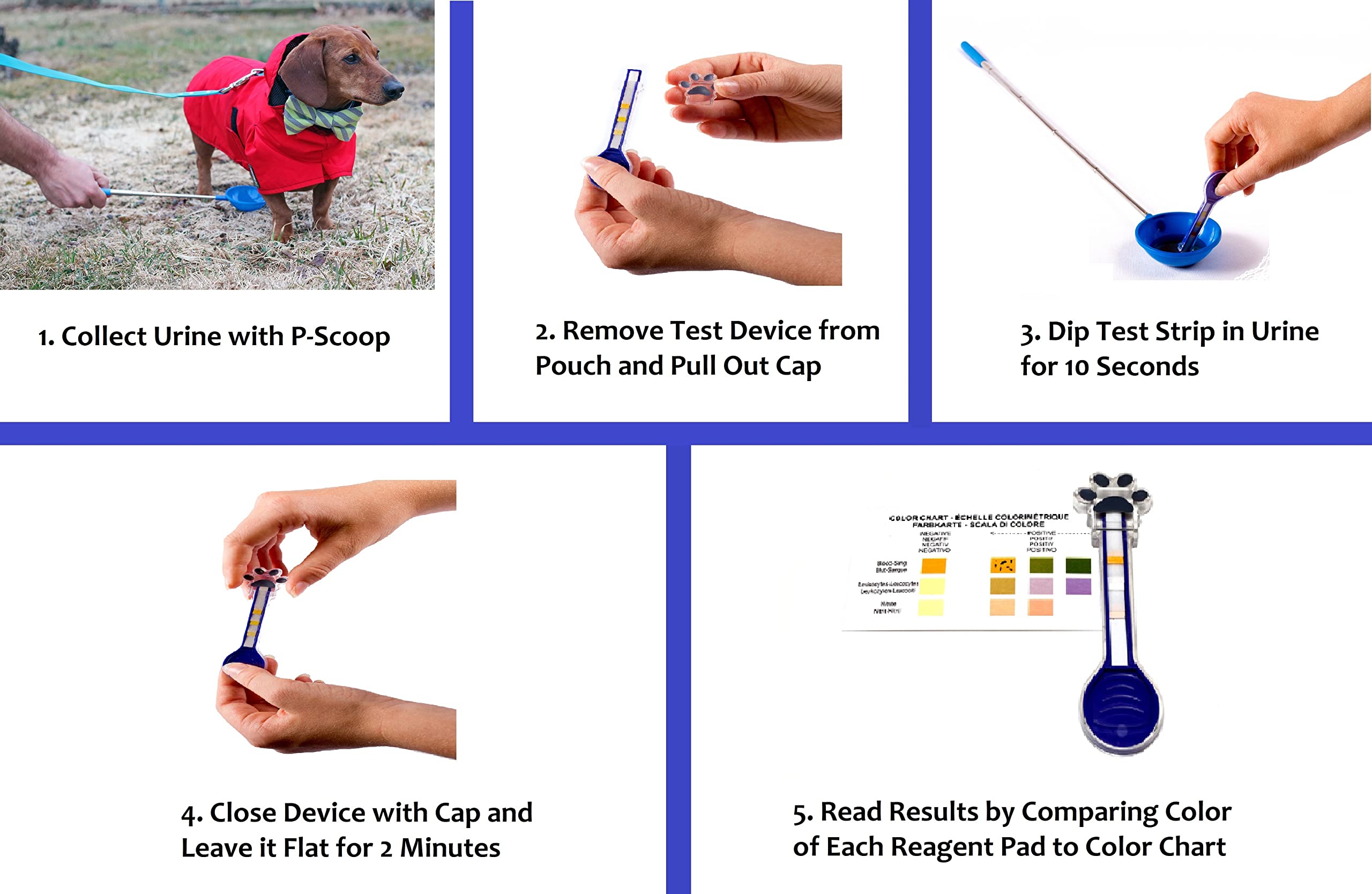 How Much Does A Urinalysis Cost For Dogs