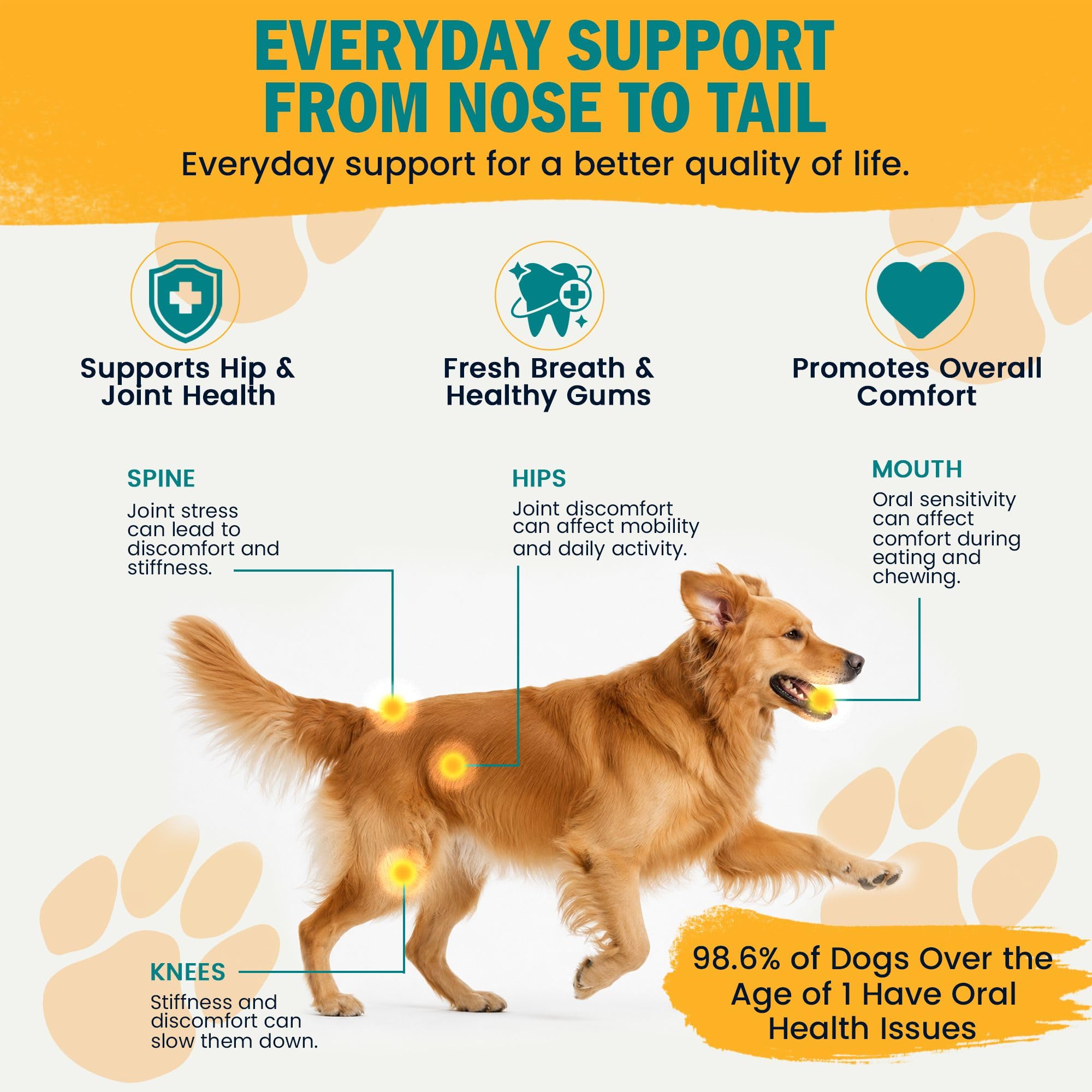 Amazon | 1-TDC Dual Action Periodontal & Joint Support for Dogs