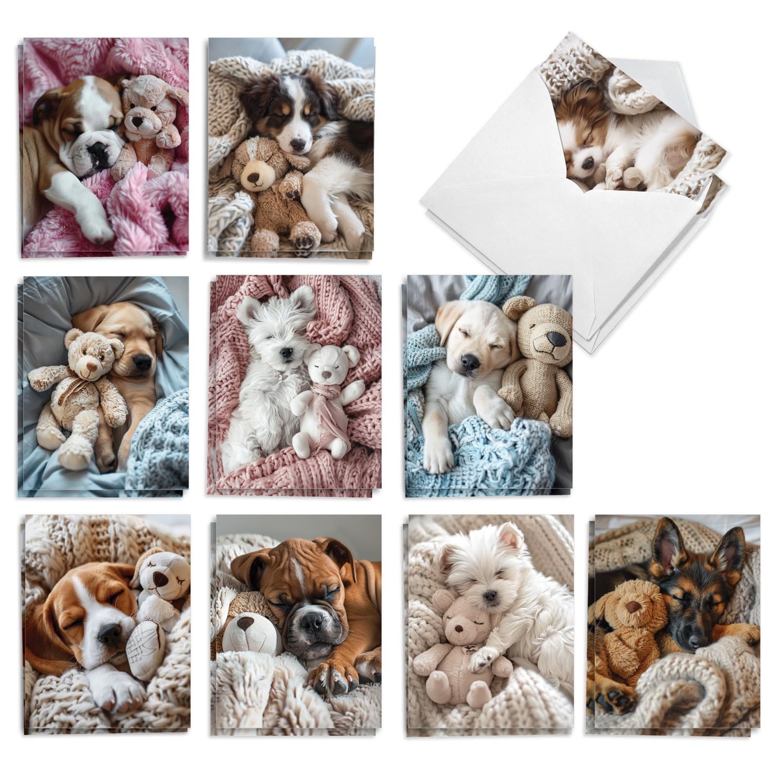 The Best Card Company 20 Assorted Blank Notecards Boxed Set 4 x 5.12 Inch with Envelopes (10 Designs, 2 Each) Puppies And Plush AM10697OCB-B2x10-NB
