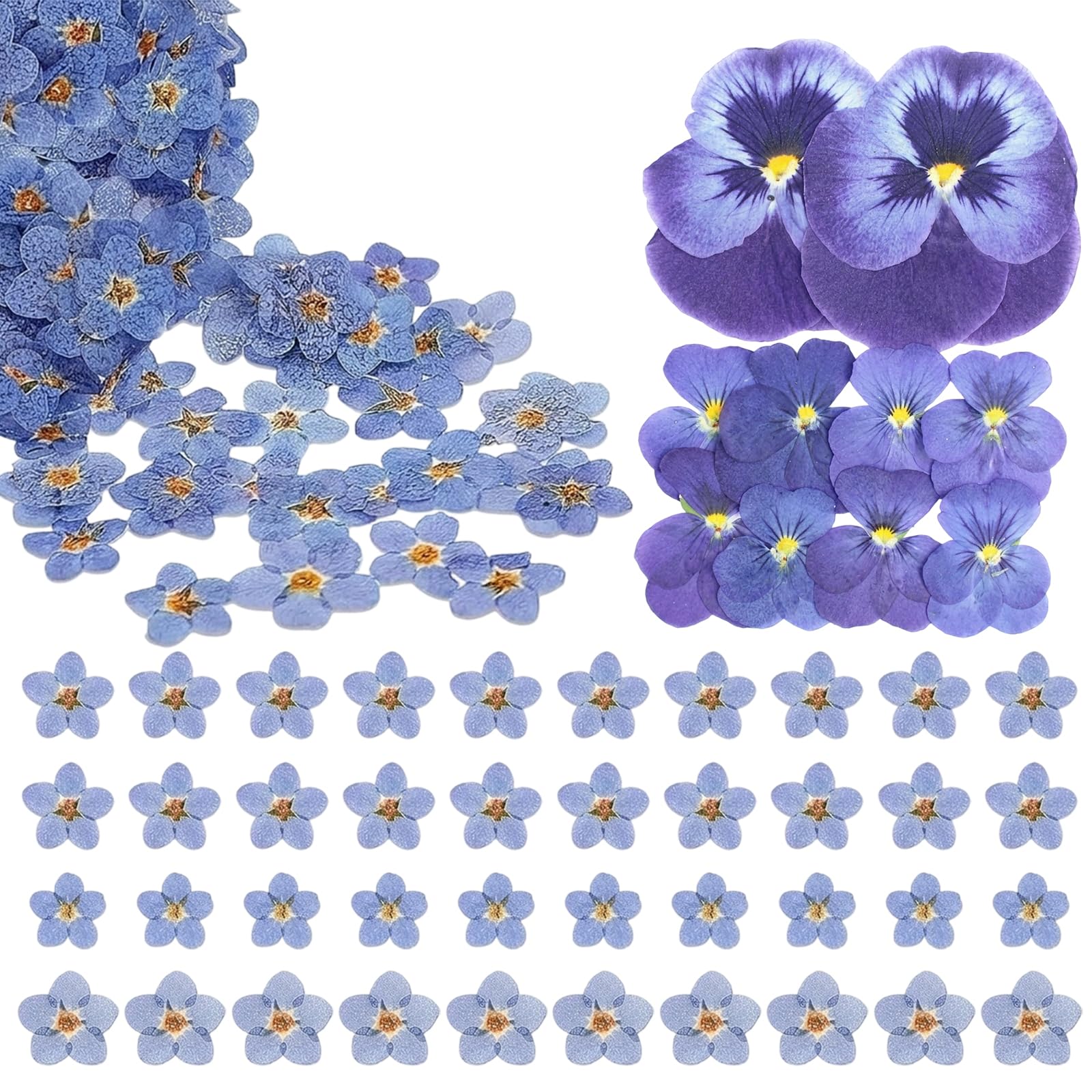 Pressed Flowers, 70 Piece Floral Pressed Flowers For Crafts Set With Assorted Sizes, Vibrant Pansies And Blue Blooms For Crafting, Dried Flower Collection For Scrapbooking And Card Making