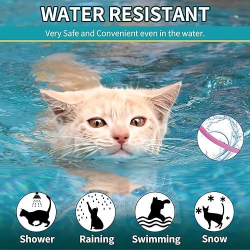 Miniatura 4 de Paquete de 4 collares antipulgas para gatos, collar de pulgas y garrapatas de gato de 8 meses, prevención de tratamiento de collar de pulgas