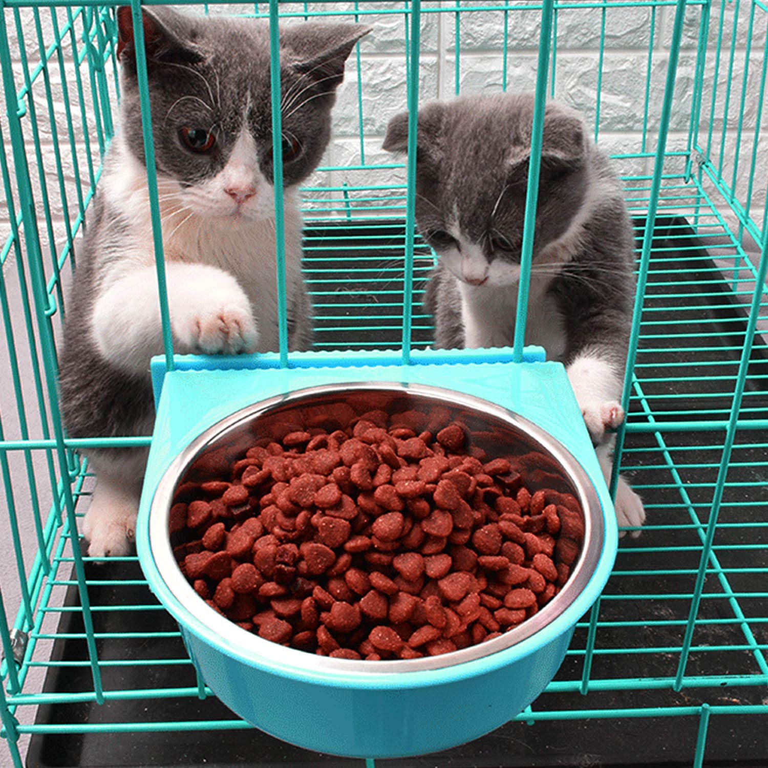 Guardians Crate - Cuenco extraíble de Acero Inoxidable para Agua y Alimentos, para Gatos, Cachorros, pájaros, Mascotas (pequeño, Azul con Clip Corrugado)