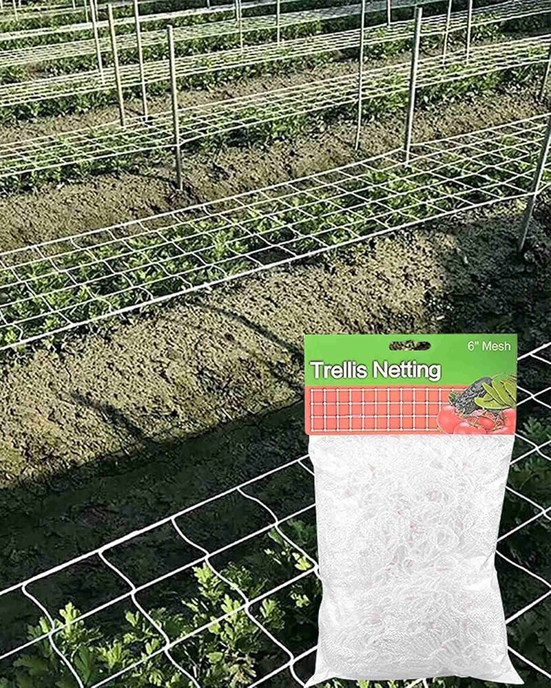 苺　ネット　１０ｍ×５ｍ、８ｍ×５ｍ 苺 ネット 10m×5m、8m×5m 苺 ネット 10m×5m、8m×5m