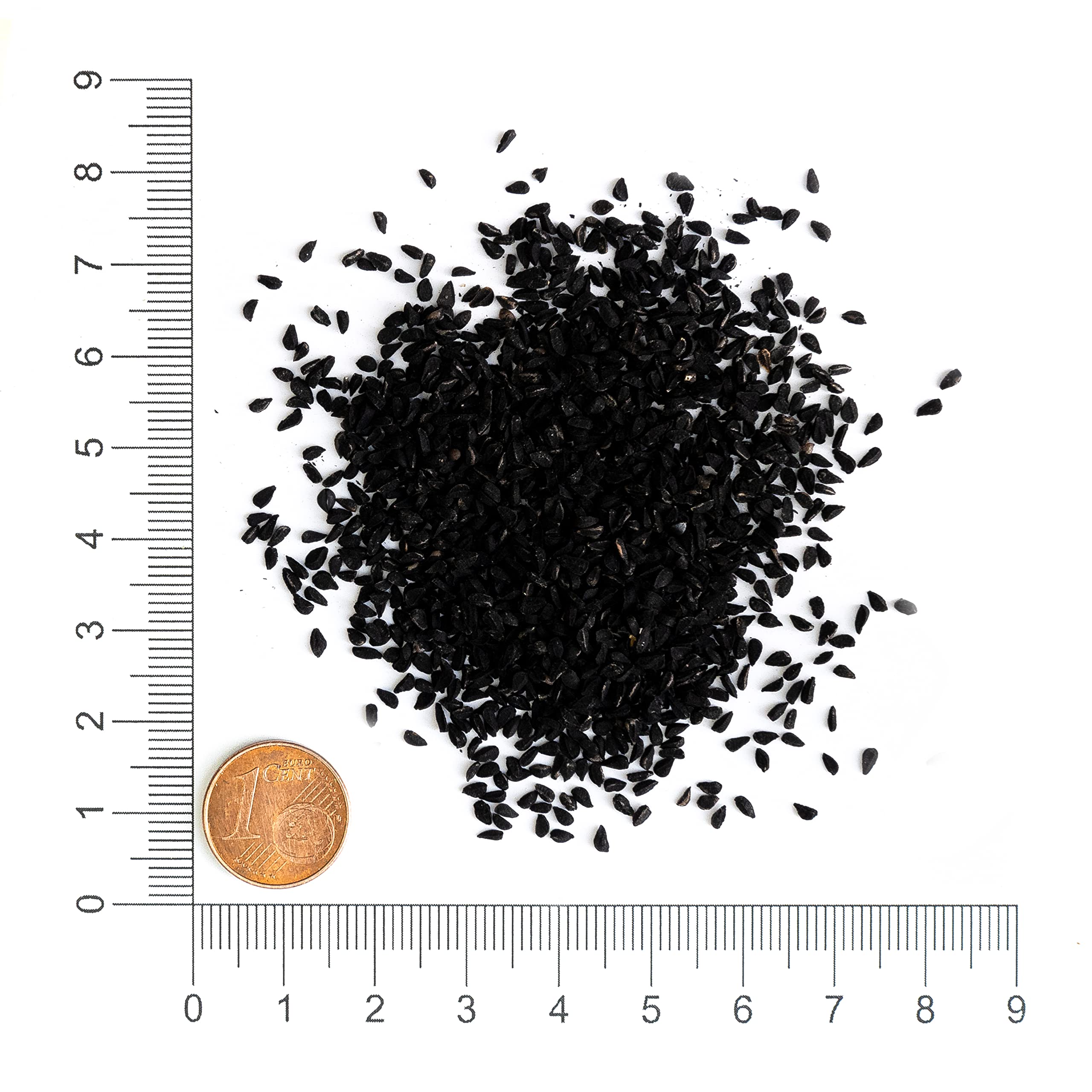 Krauterie Schwarzkümmelsamen für Pferde, ganz (5000 g) | Artgerechtes Einzelfuttermittel für Pferde in Spitzenqualität - frei von Zusatzstoffen, getreidefrei, zuckerfrei, melassefrei