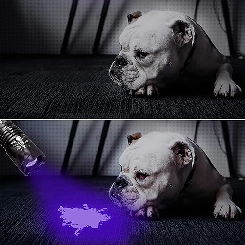 Miniatura 6 de Morpilot Luz LED ultravioleta de 12 focos para detectar manchas y orina la mejor linterna UV para encontrar manchas en tapetes o detectar orina de