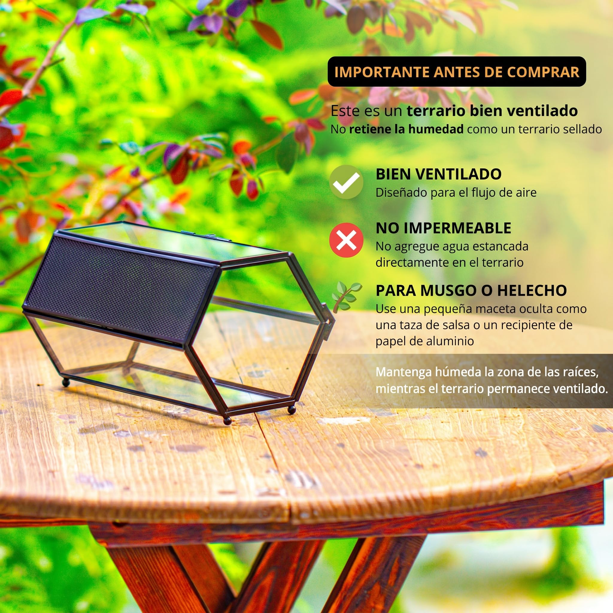 NCYP 20x11,5x10 cm Mini terrario de Cristal con Malla y Puerta para arañas saltadoras, hábitat de Insectos pequeños, terrario de suculentas en Forma Hexagonal (Solo terrario, sin Plantas)