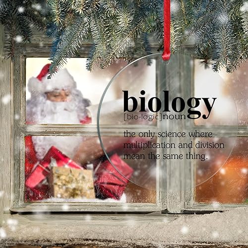 Miniatura 6 de Biología Sustantivo Definición Acrílico Relleno de Calcetines de Navidad Regalo para Niño Definición Divertida Adornos de Navidad Definición de