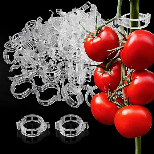 Clips para plantas trepadoras 200 clips de tomate para colgar plantas para plantas al aire libre, lazos de plantas de tomate para soporte Clips de