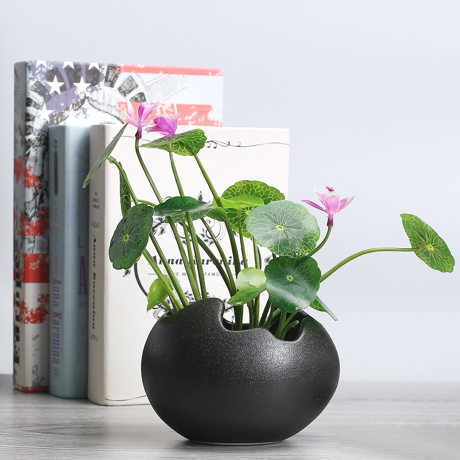 Amazon | TOSSOW 植木鉢 陶器鉢 卵形 多肉植物 サボテン鉢 ハーブ