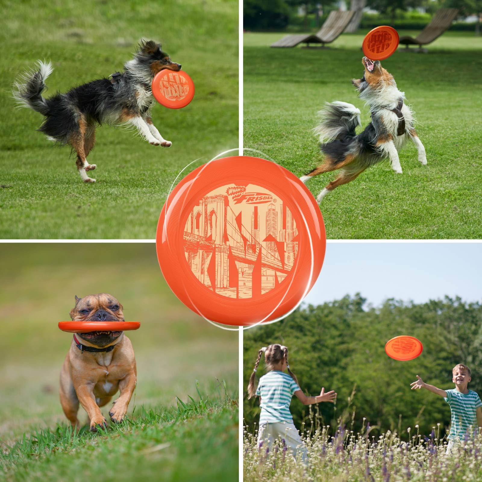 Wham-O Frisbee Disco Volante 25.27 cm Giocattolo Leggero per Bambini 130g