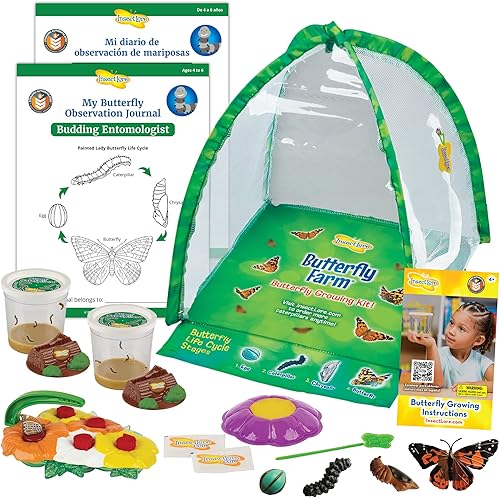 Butterfly Garden Hábitat de granja y dos tazas vivas de orugas, con comedero de mariposa de lujo y etapas de ciclo de vida de mariposas, incluye