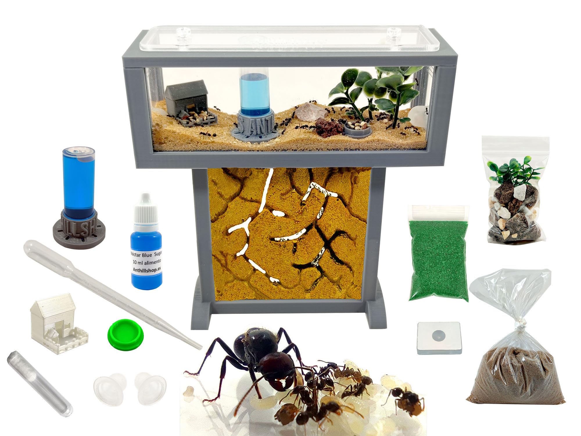 Kit per formiche T- Mini di sabbia naturale, 15 x 5 x 16 cm, formiche gratis incluse┃da 20-30 formiche