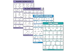 Laminated 18x24 Pilates Workout Posters (4-Pack)