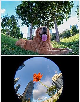 ますみん よつあみ エックスブレイド スーパージグマンX8 200m 14LB 0.6号