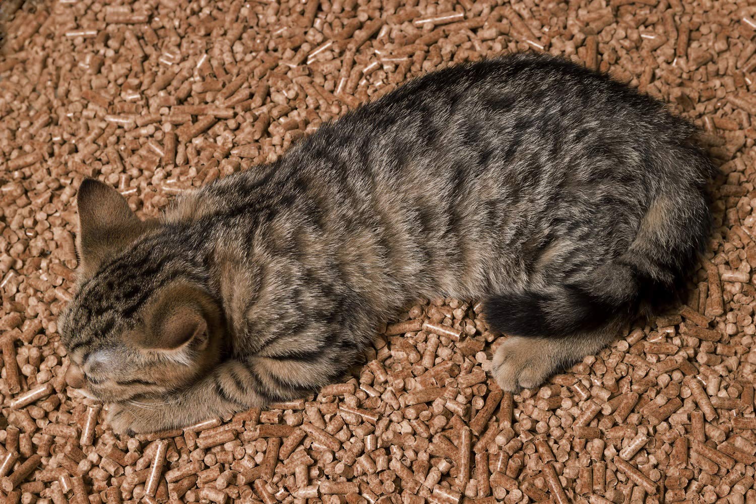 1 Pellet, 1 Sac (15 kg)