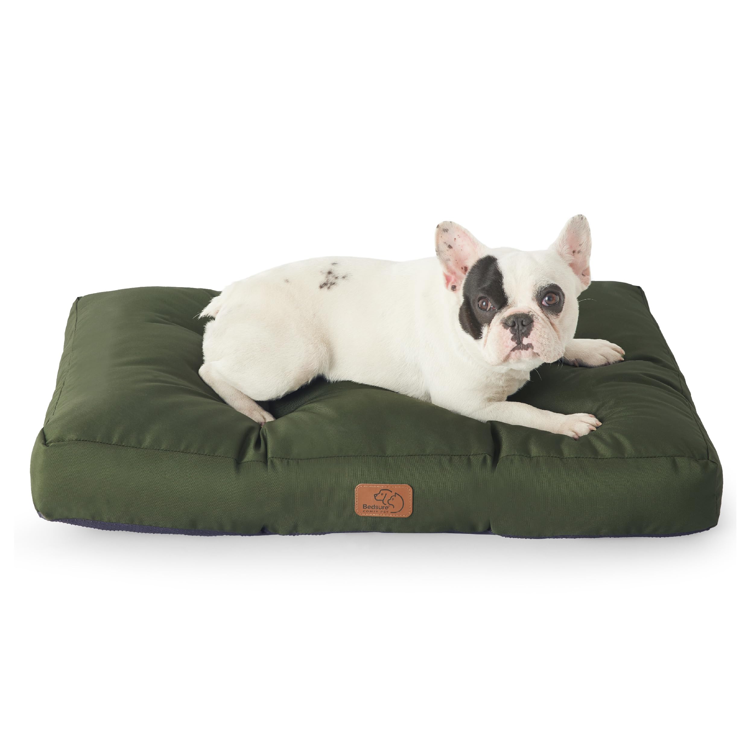 BEDSURE Poduszka dla małych psów nadaje się do prania – 76 x 50 cm materac dla psa, wodoszczelny, rozmiar M, dla małych, średnich psów, na zewnątrz, wyściełana mata dla psa, zielona, wysokość 10 cm