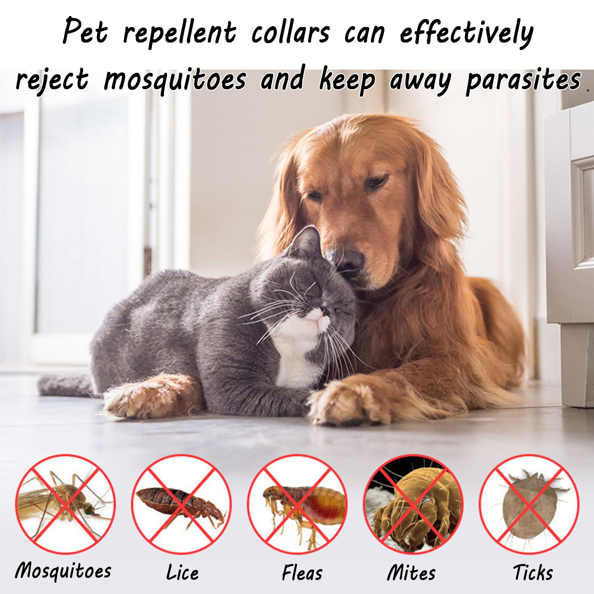 2 pcs Zeckenhalsband für Katzen,Wasserdicht Hund Flohhalsband,Zeckenschutz Katze,Zeckenhalsband für unde und Katzen,VerstellbareinheitsgrößE,für Aller Größen Und Rassen 62cm