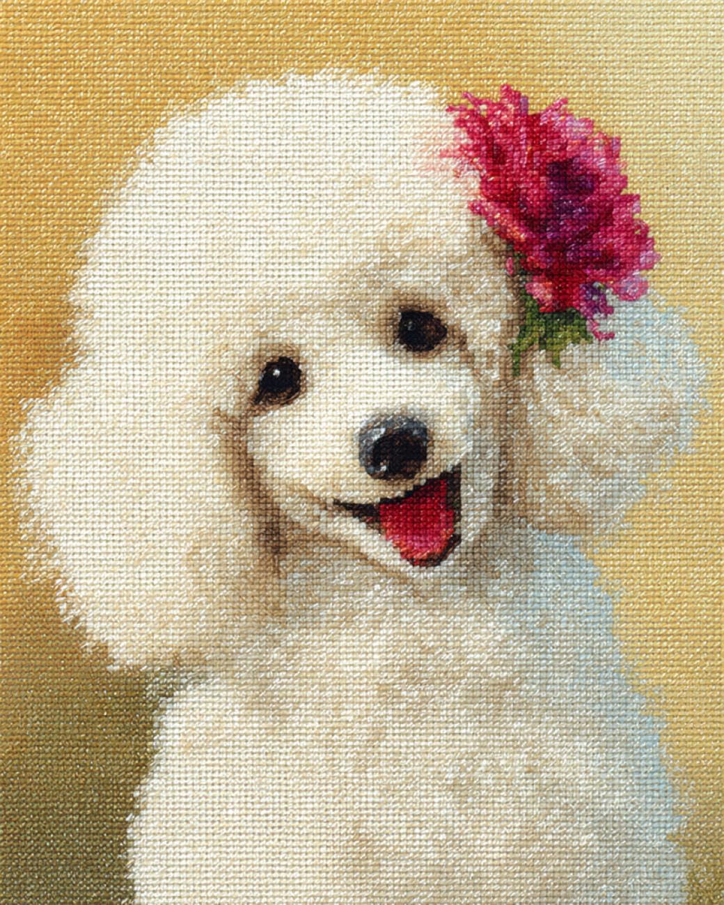 RKFLGEW DIY Bead Embroidery Kits Poodle Portrait 50x70cm