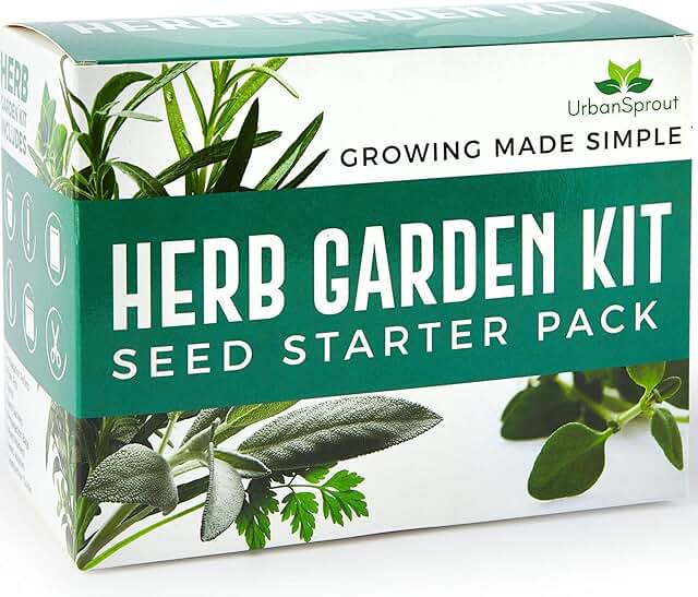 Amazon.co.uk mint seeds