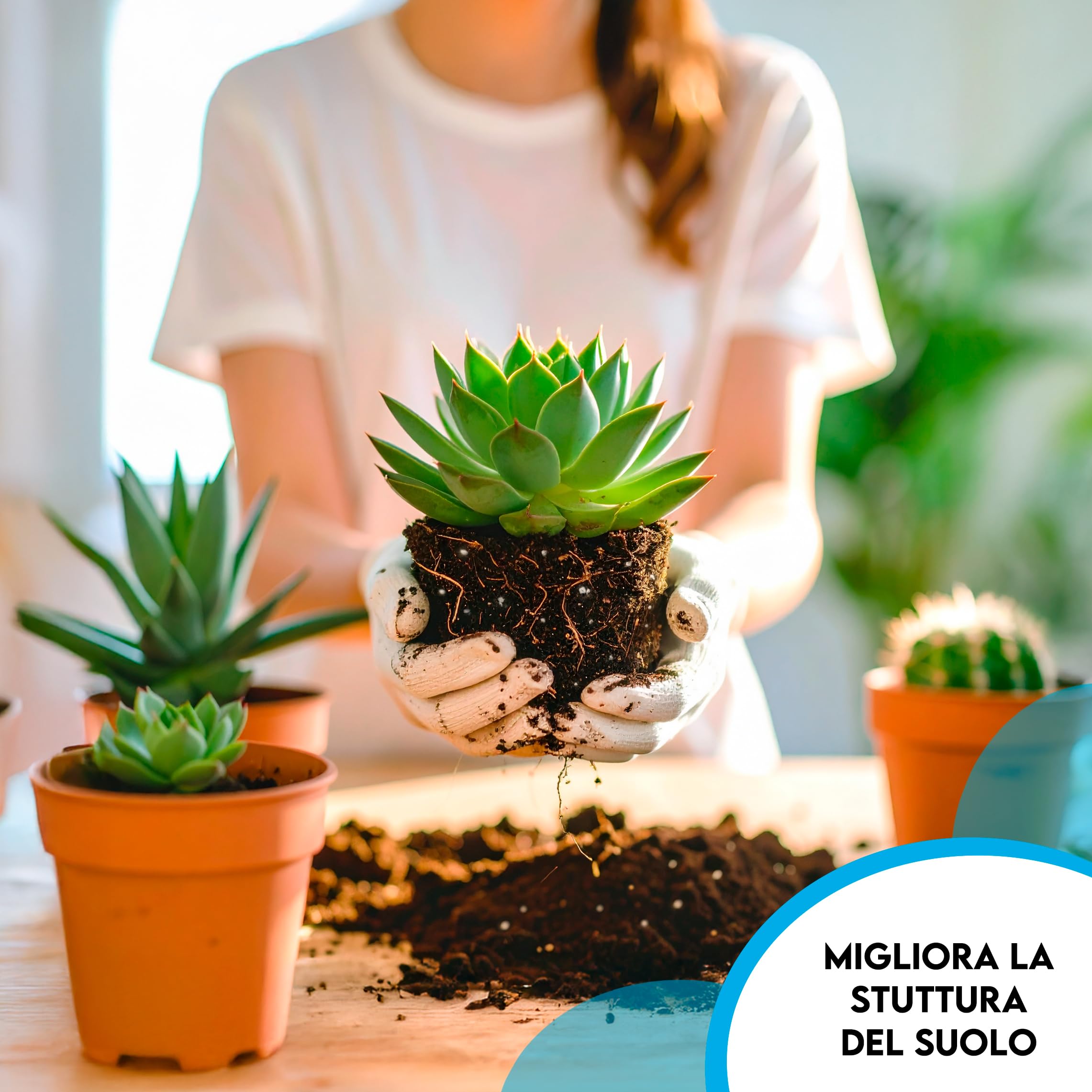 ZOMA Torba acida di sfagno nera Ph 4,5 qualità Superiore Sacco 35l, torba per piante estratta dalle torbiere baltiche, Ideale pura o in mescola con tutti i substrati - Made in Italy
