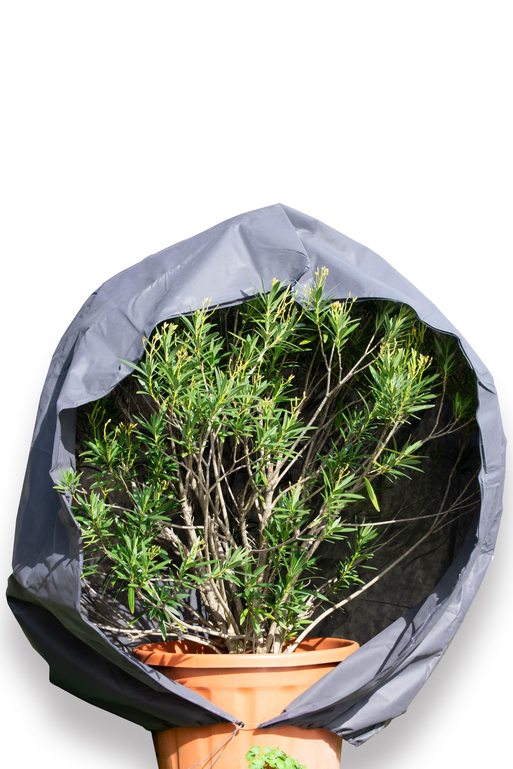 schlauchmeister 24 ... wir leiten's durch ... Premium XXL Winterschutz für Pflanzen grau Kübelpflanzen Winterschutzcover draußen Haube 300 x 240 cm Reißverschluss Zugband Pflanzenschutzhaube