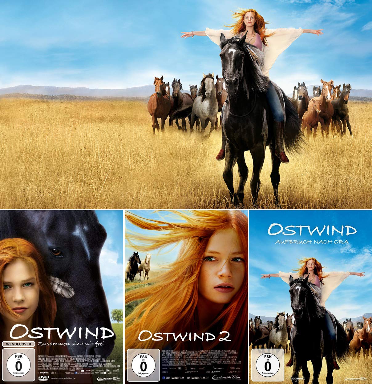 Ostwind 1-3 (Teil 1+2+3) Collection [DVD] Keine Box: Amazon.de: Hanna