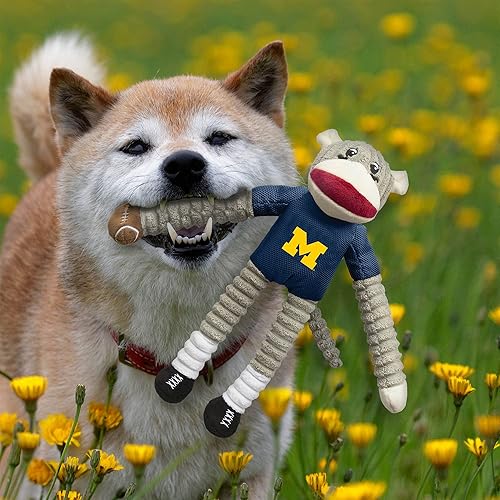 Miniatura 3 de Littlearth Michigan Wolverines NCAA Sock Monkey and Flying Disc - Juego combinado de juguetes para mascotas