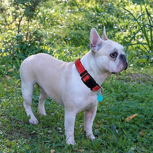 Miniatura 10 de Ladoogo Collar reflectante para perro acolchado con neopreno suave transpirable ajustable nailon para perros pequeños medianos y grandes